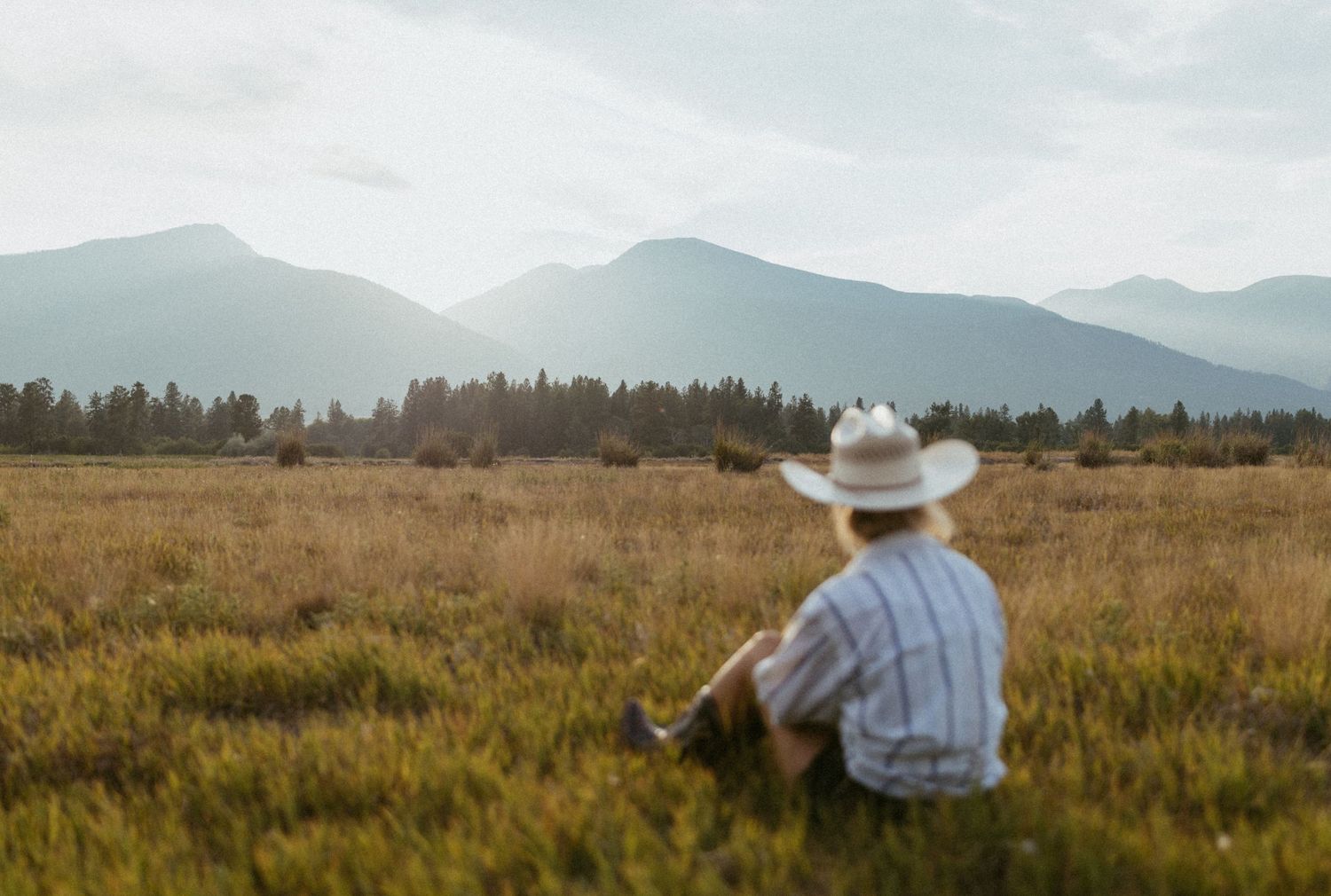 Person in cowboy hat sitting in golden meadow gazing at misty mountain range and pine forest landscape.