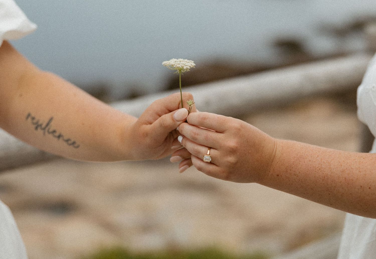 Two hands exchanging a delicate white wildflower, one adorned with a ring and the other with a resilience tattoo.