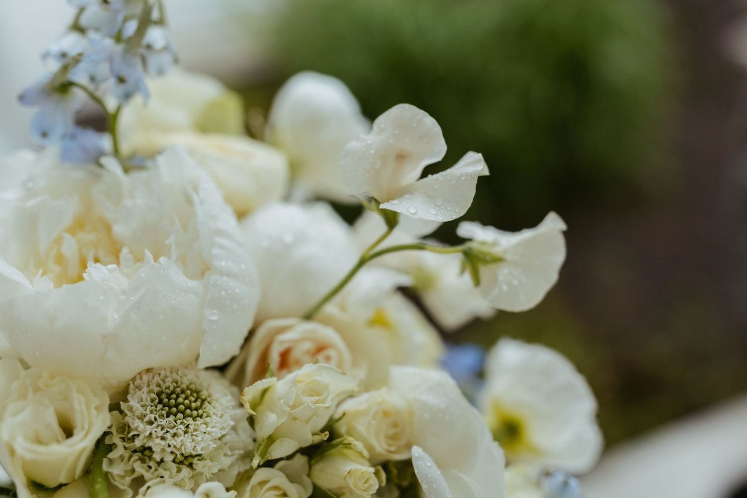 Close-up of an elegant white bridal bouquet featuring peonies, roses, and delicate blue accents.