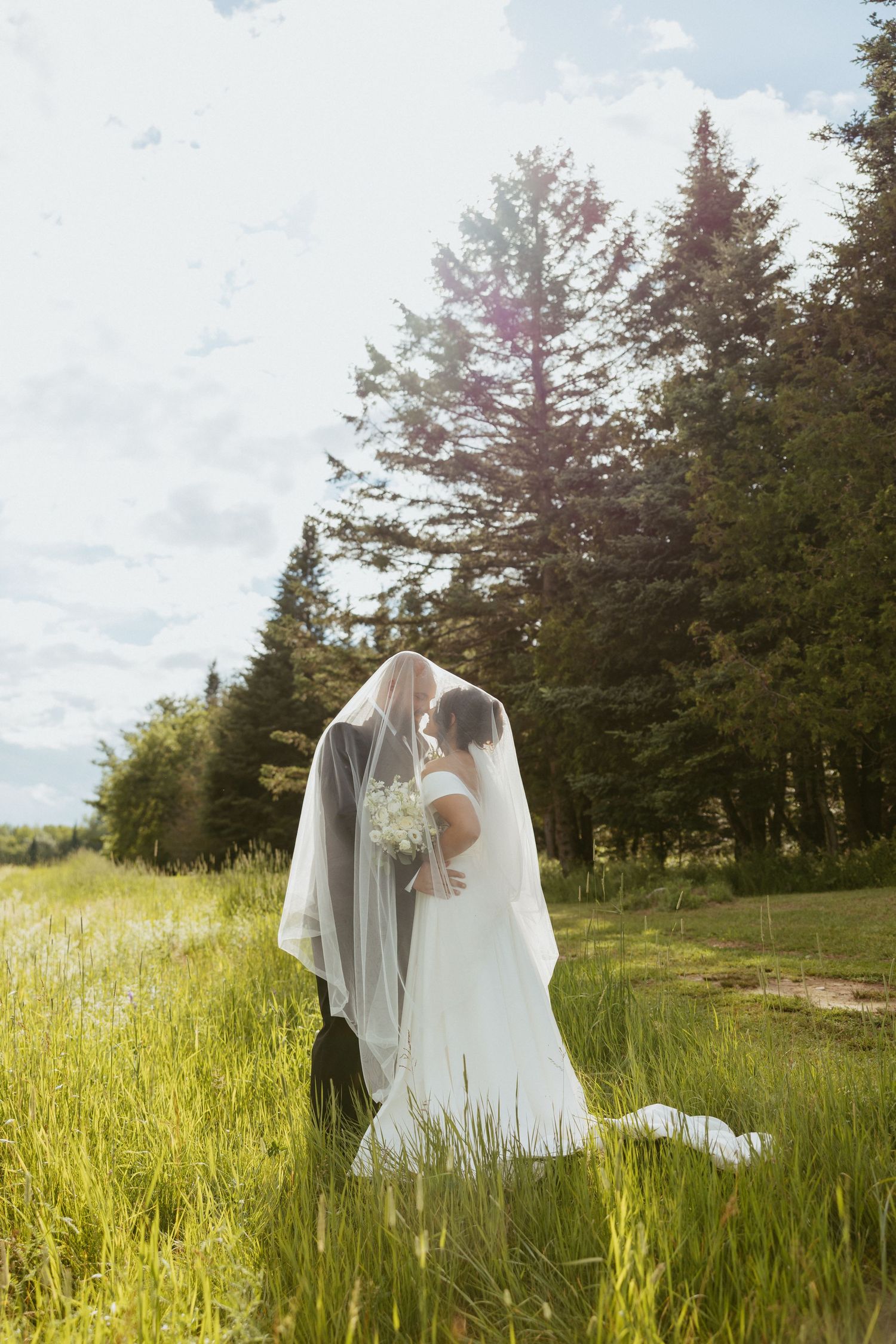 Bride and groom kissing under a flowing white veil in a lush green field surrounded by tall evergreen trees.