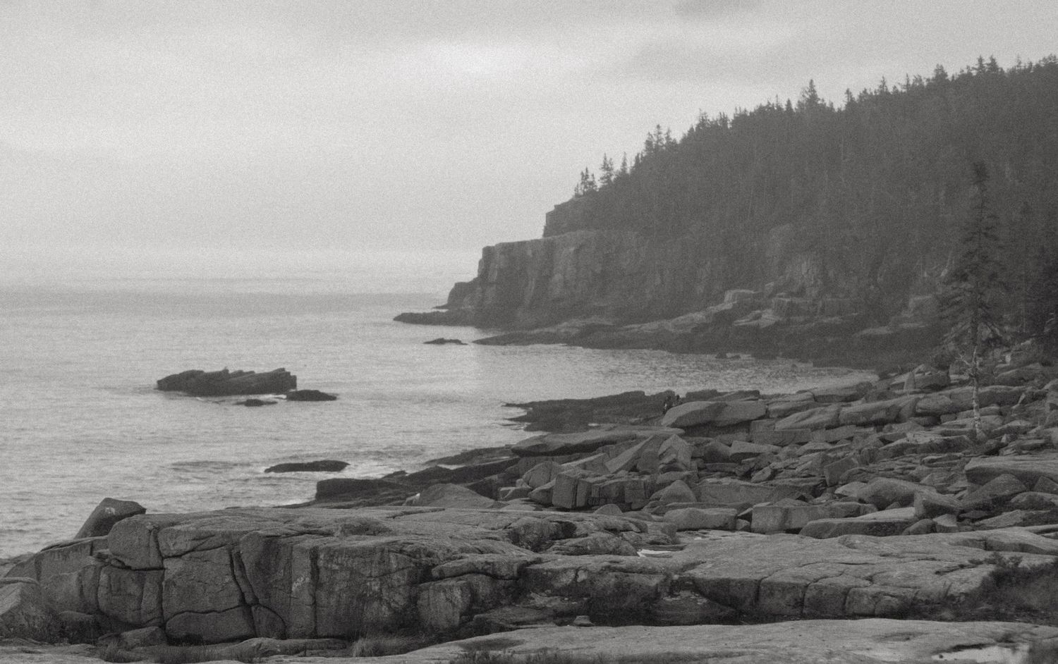 Black and white coastal landscape with rocky shoreline, calm ocean waters, and forested cliffs under an overcast sky.