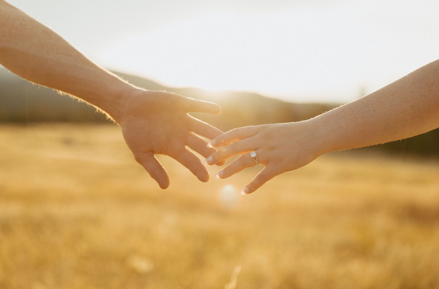 Two hands gently touching fingertips in golden sunlight over a sunny field, symbolizing love and connection.