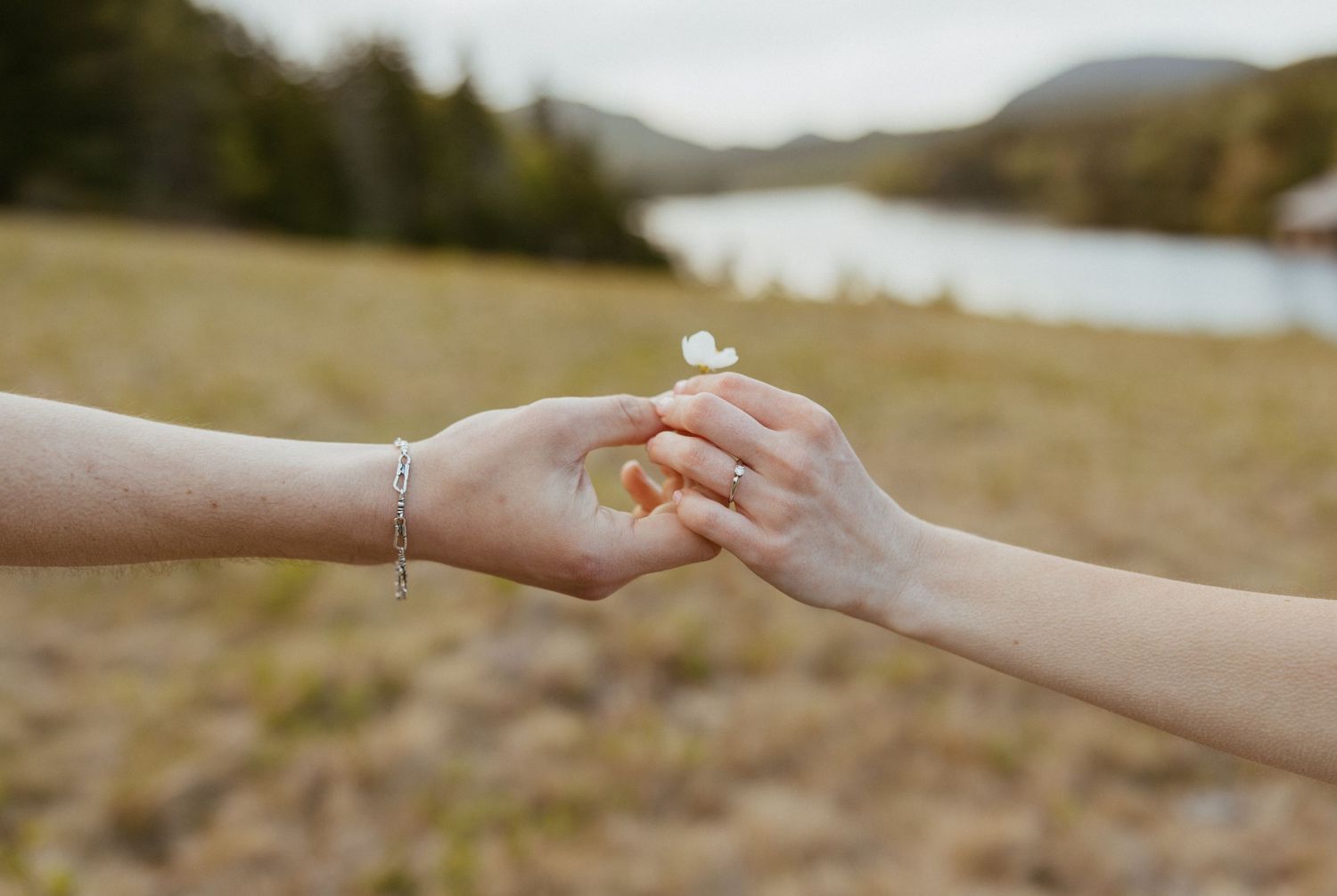 Two hands gently touching, sharing a small white flower, with a scenic lake and mountains in the background.