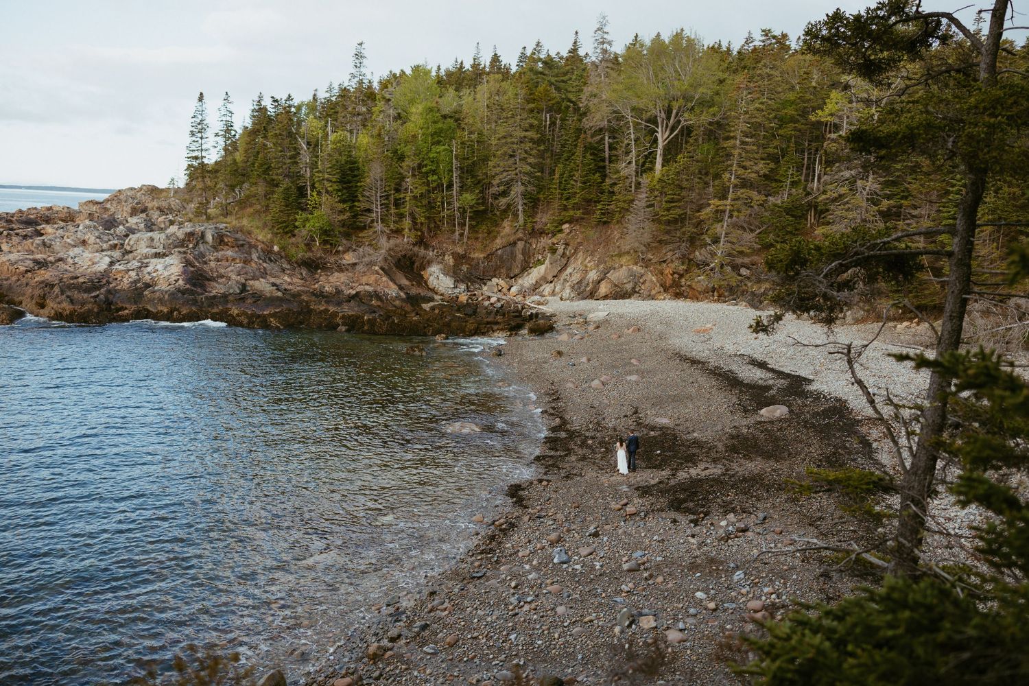 Rocky shoreline cove with calm blue water, sandy beach, and dense evergreen forest on rugged cliffs in a coastal wilderness.