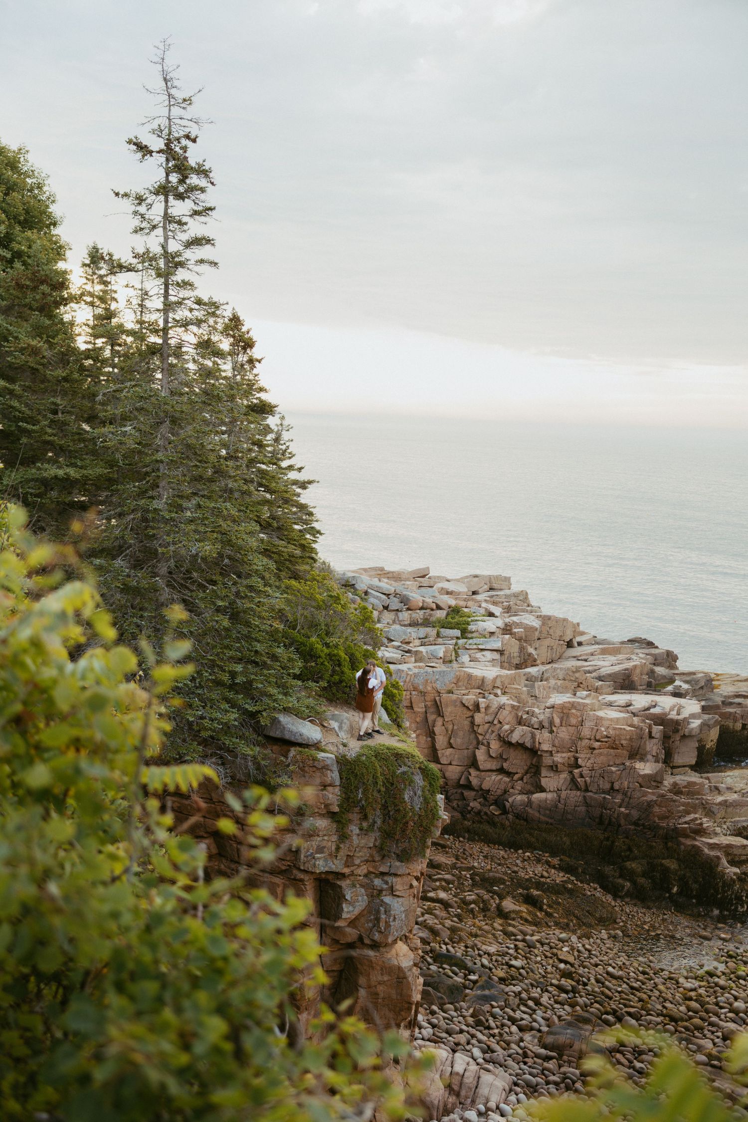 A hiker stands on rocky coastal cliffs surrounded by evergreen trees with a calm ocean horizon in the background.