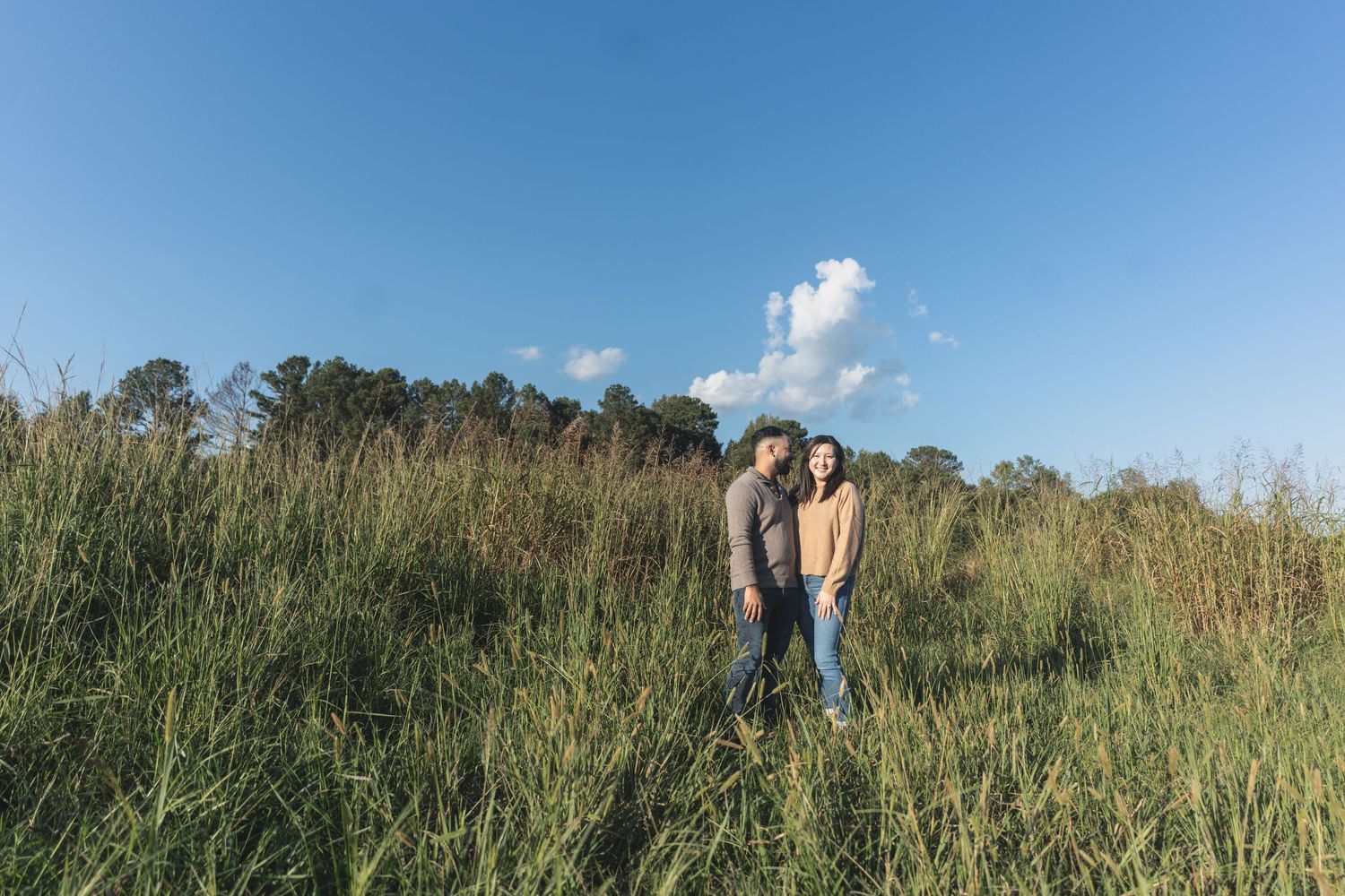 A sequence of panoramic shots showing tall grass meadows and natural landscapes stretching to the horizon.