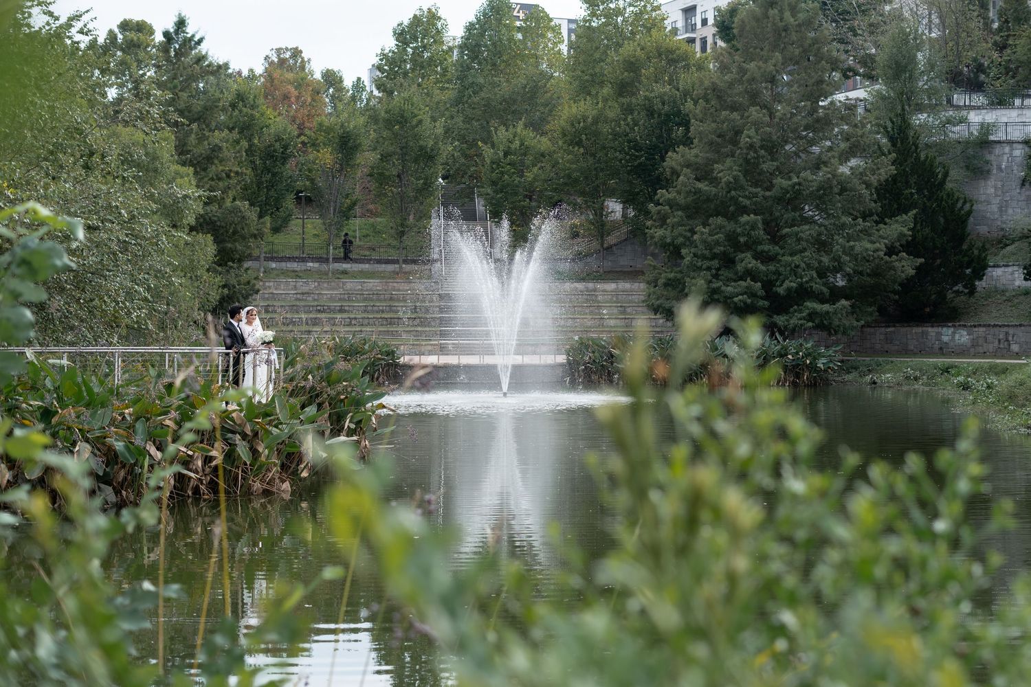 A series of fountain sprays creating white water features in a tranquil pond surrounded by lush green trees and foliage.