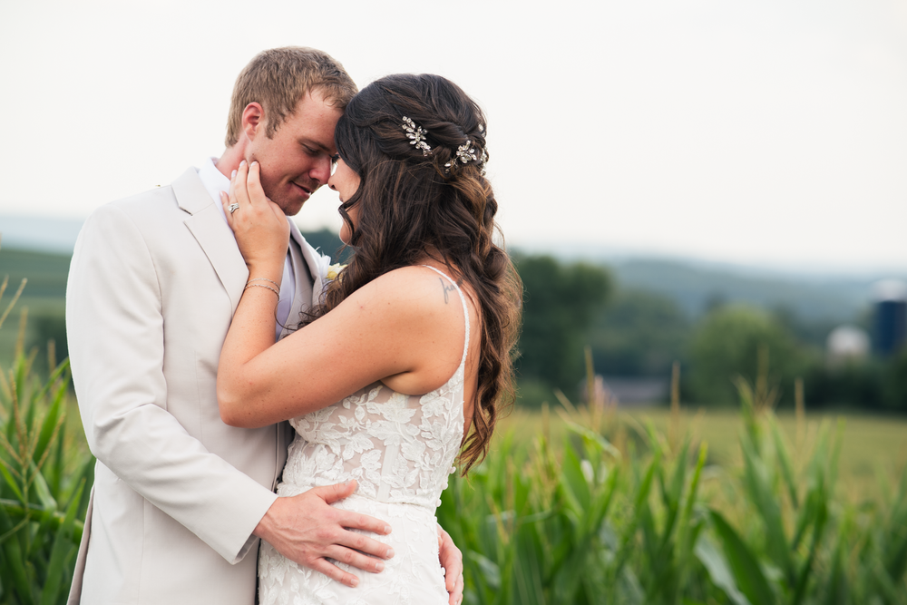 A bride and groom share a romantic forehead touch in a lush green cornfield on their wedding day.