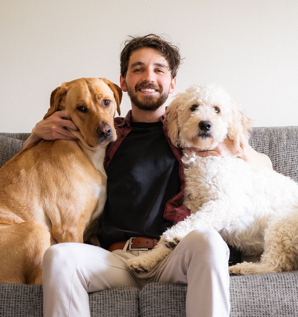 Smiling man sitting on a gray sofa with two dogs, a yellow Labrador and a white Goldendoodle.