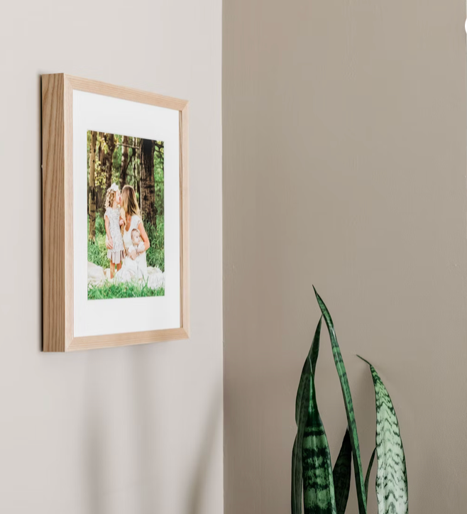 Three minimalist framed photographs hanging on a beige wall with green snake plants decorating the space.