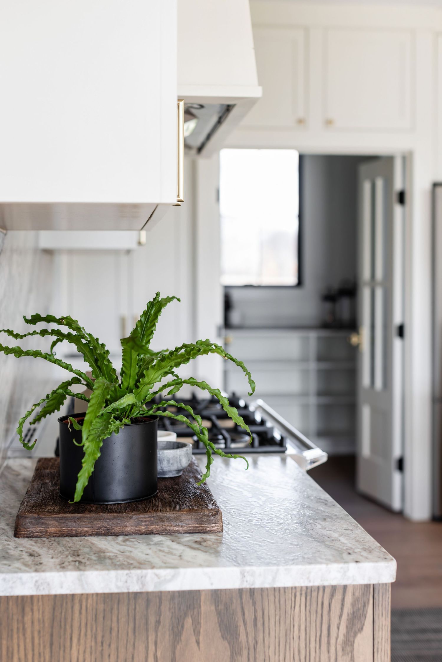Modern kitchen counter with decorative plant in black pot on marble surface.