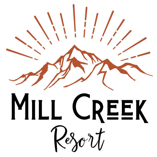 Simple line drawing of mountain peaks with radiating sunburst lines above in rust orange color.