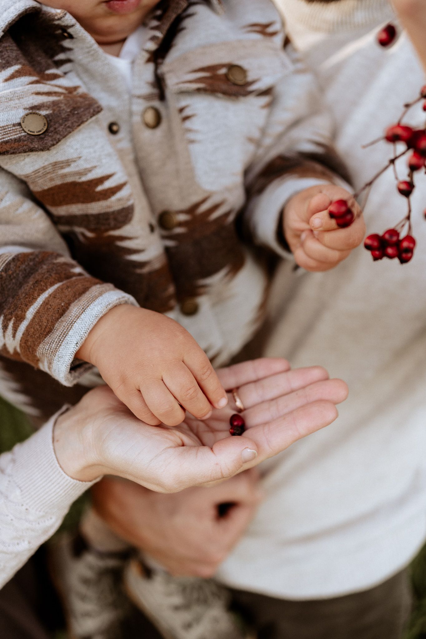 Kind legt kleine Beeren in die Hand seiner Mutter – liebevolles Detail aus einem Familienshooting.