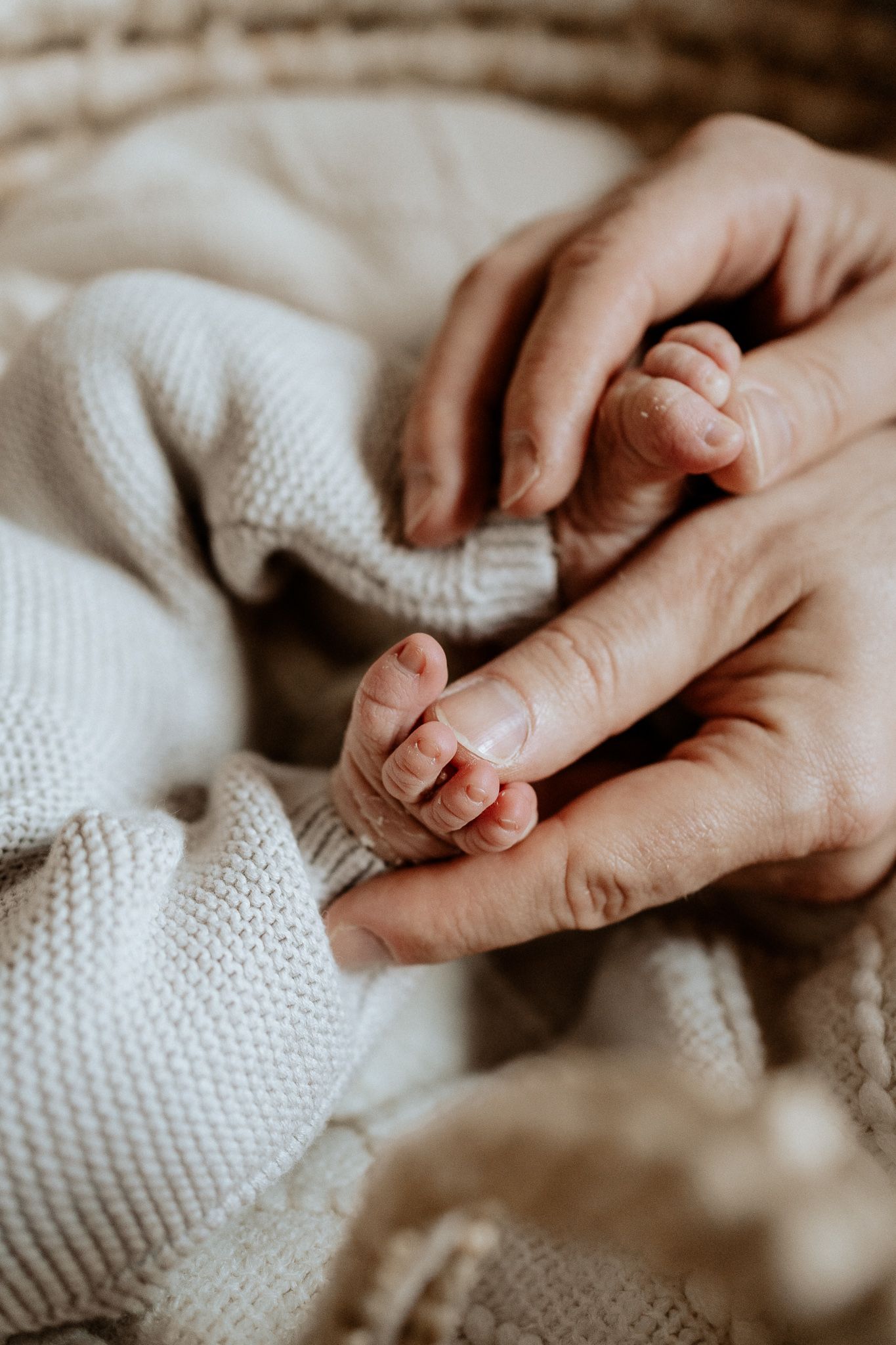 Detailaufnahme kleiner Babyhände in den schützenden Händen der Eltern – ein liebevoller Moment voller Geborgenheit.