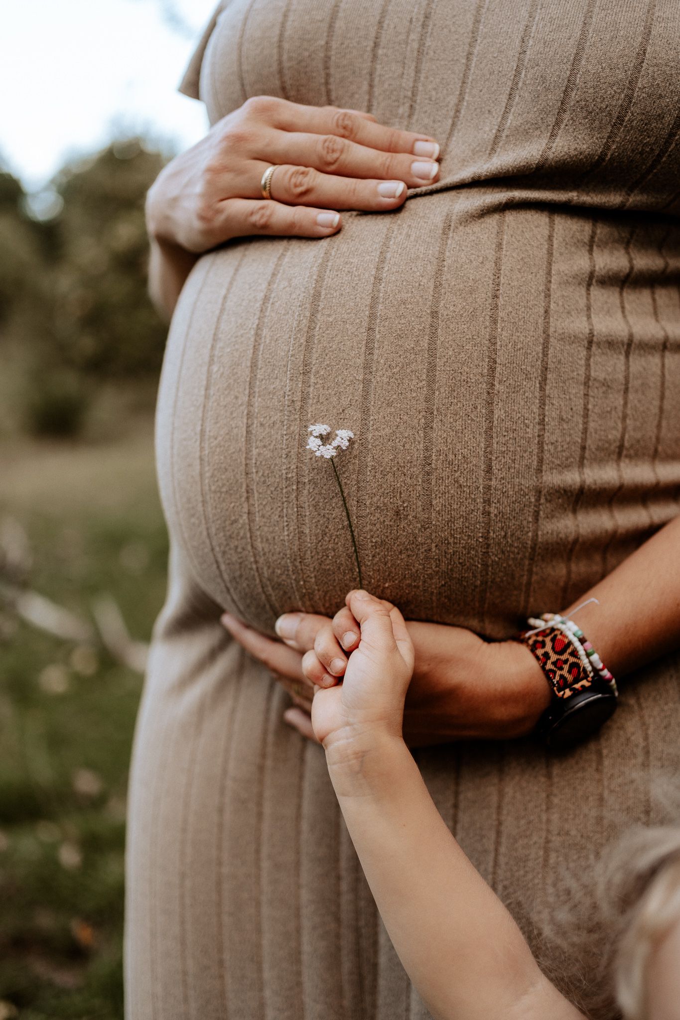 Nahaufnahme eines Babybauchs mit kleiner Blume und Kinderhand in liebevoller Atmosphäre.