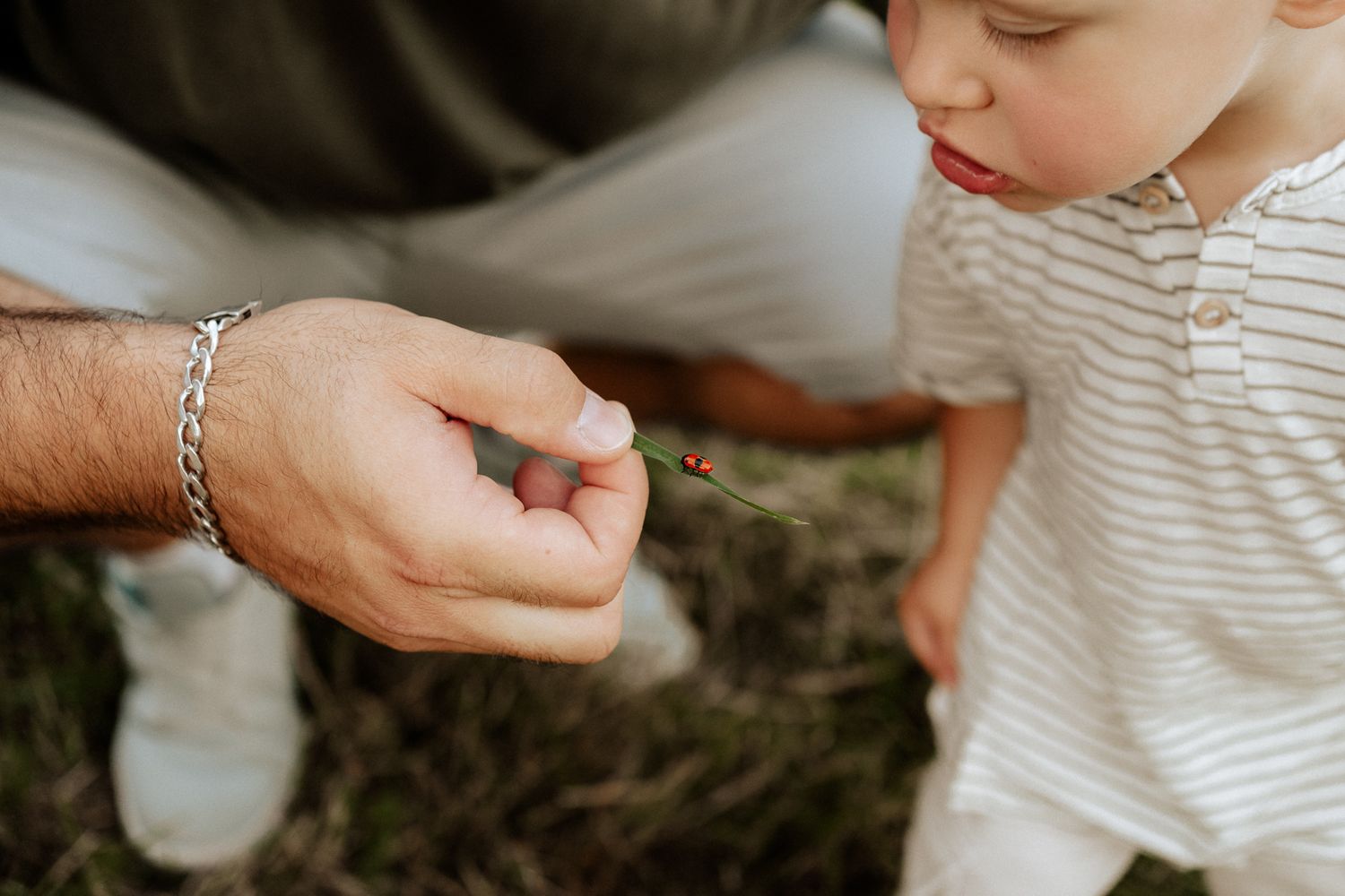 Kind beobachtet neugierig einen Marienkäfer auf der Hand eines Elternteils bei einem natürlichen Familienshooting.