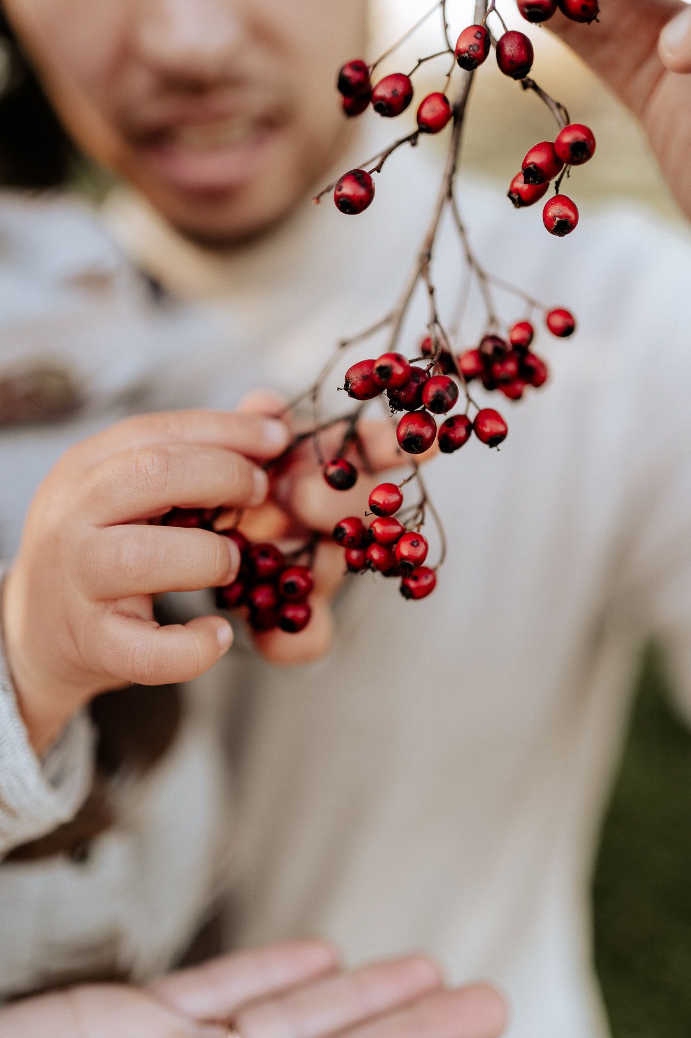 Kind greift nach einem Strauch mit Beeren bei einem entspannten Familienshooting.