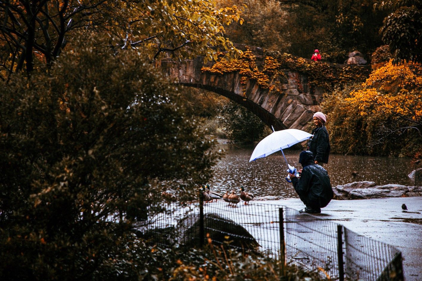 Central Park