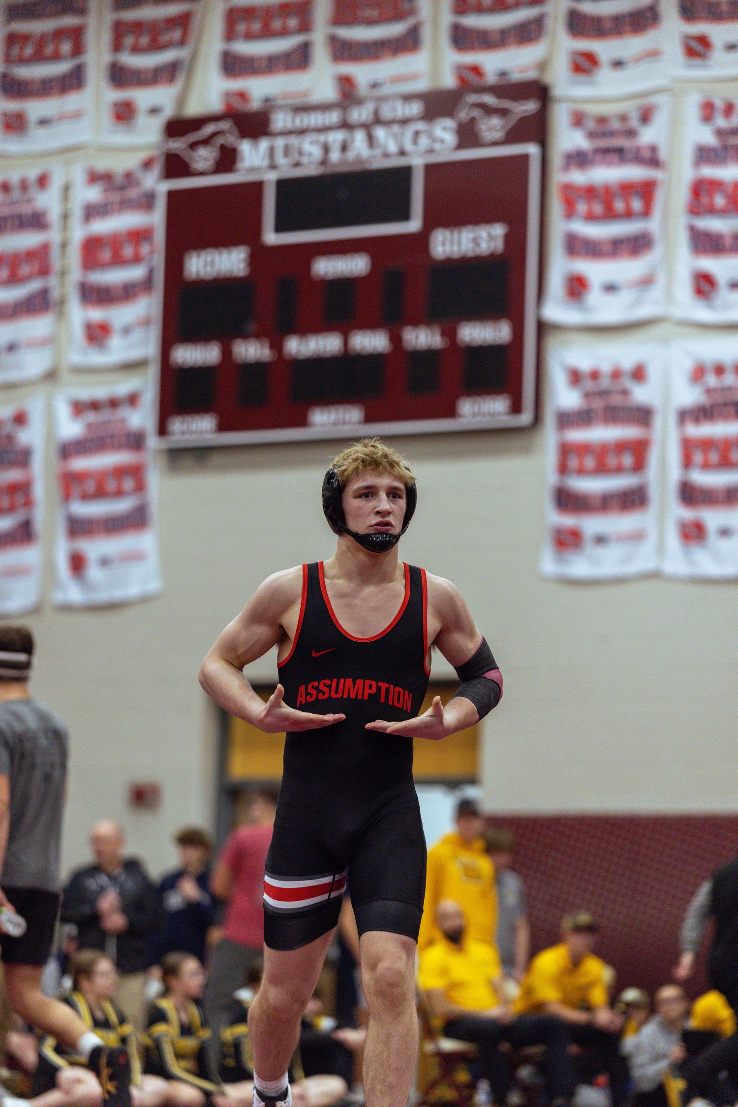 Wrestling