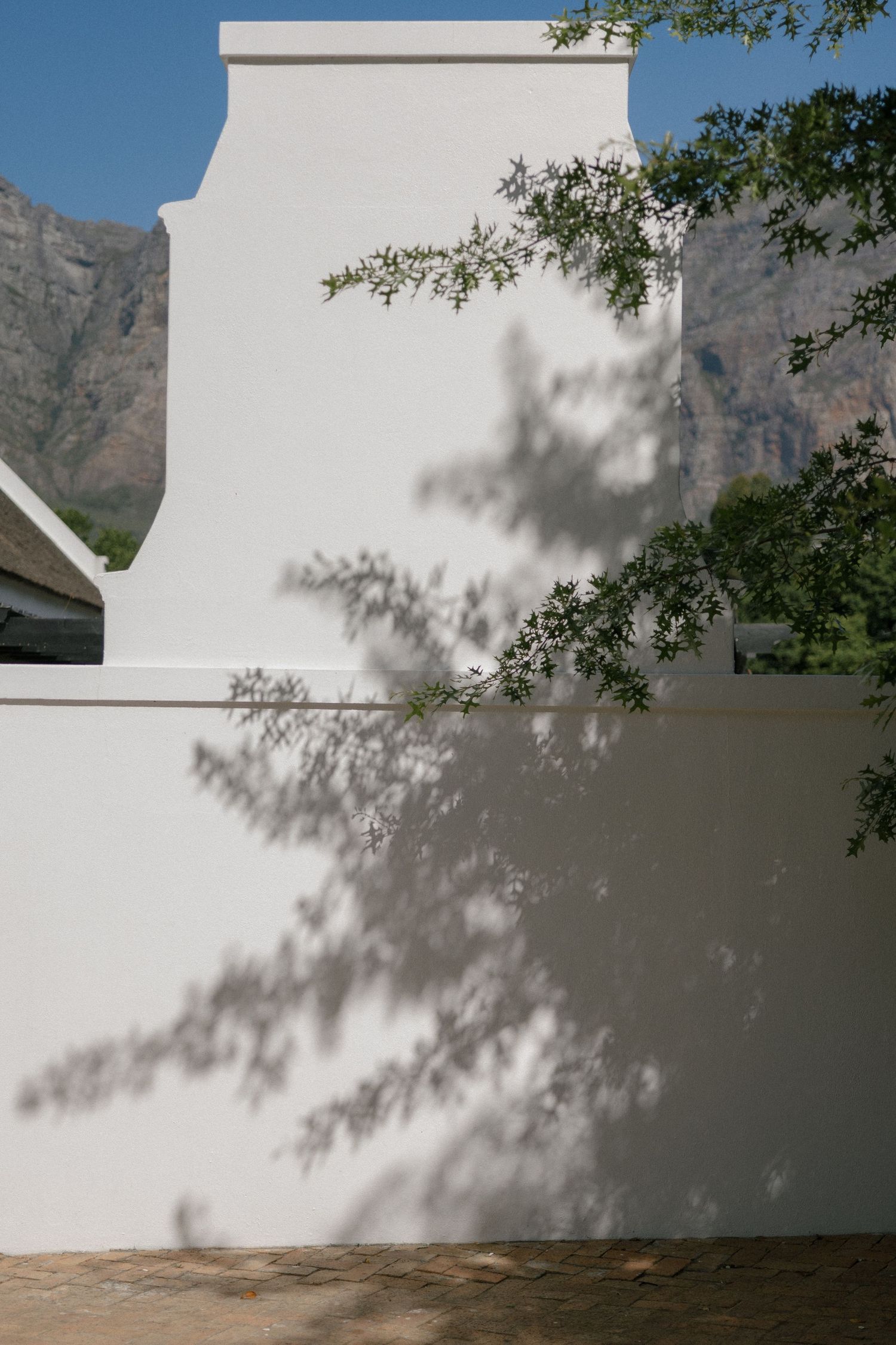 White Cape Dutch wall with tree branch shadows, mountain backdrop, and blue sky in Stellenbosch, South Africa.
