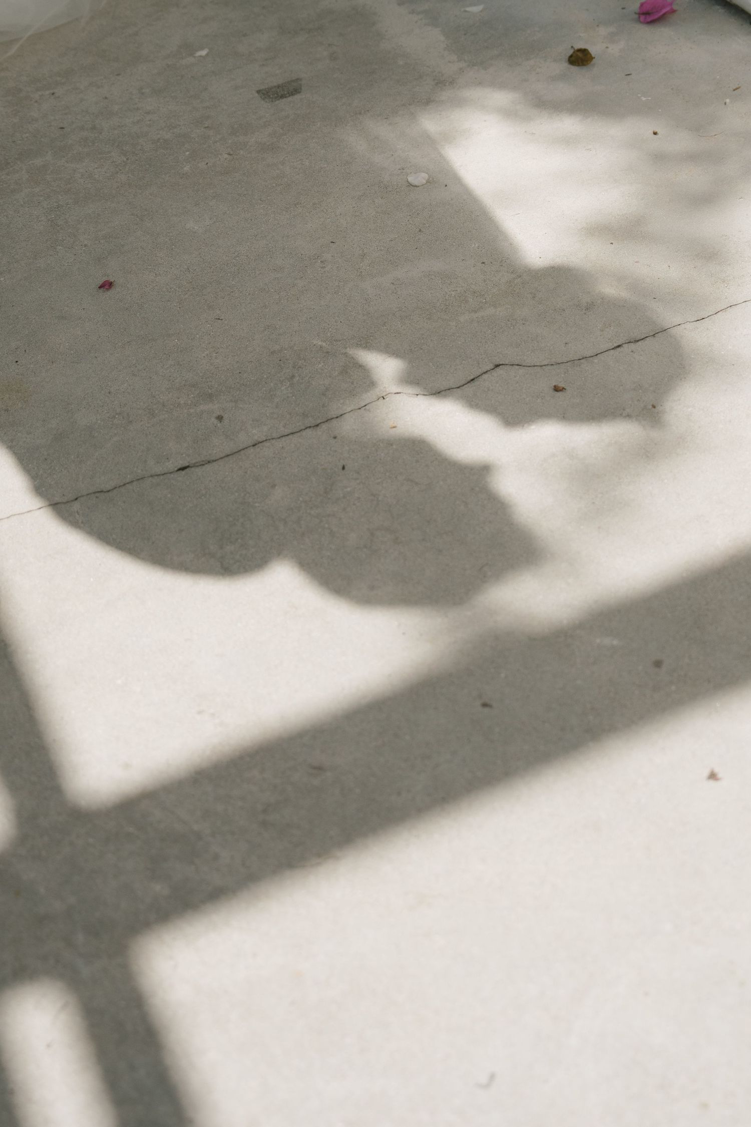 Shadow of a tree and cross-shaped structure cast on a cracked concrete ground in natural sunlight.
