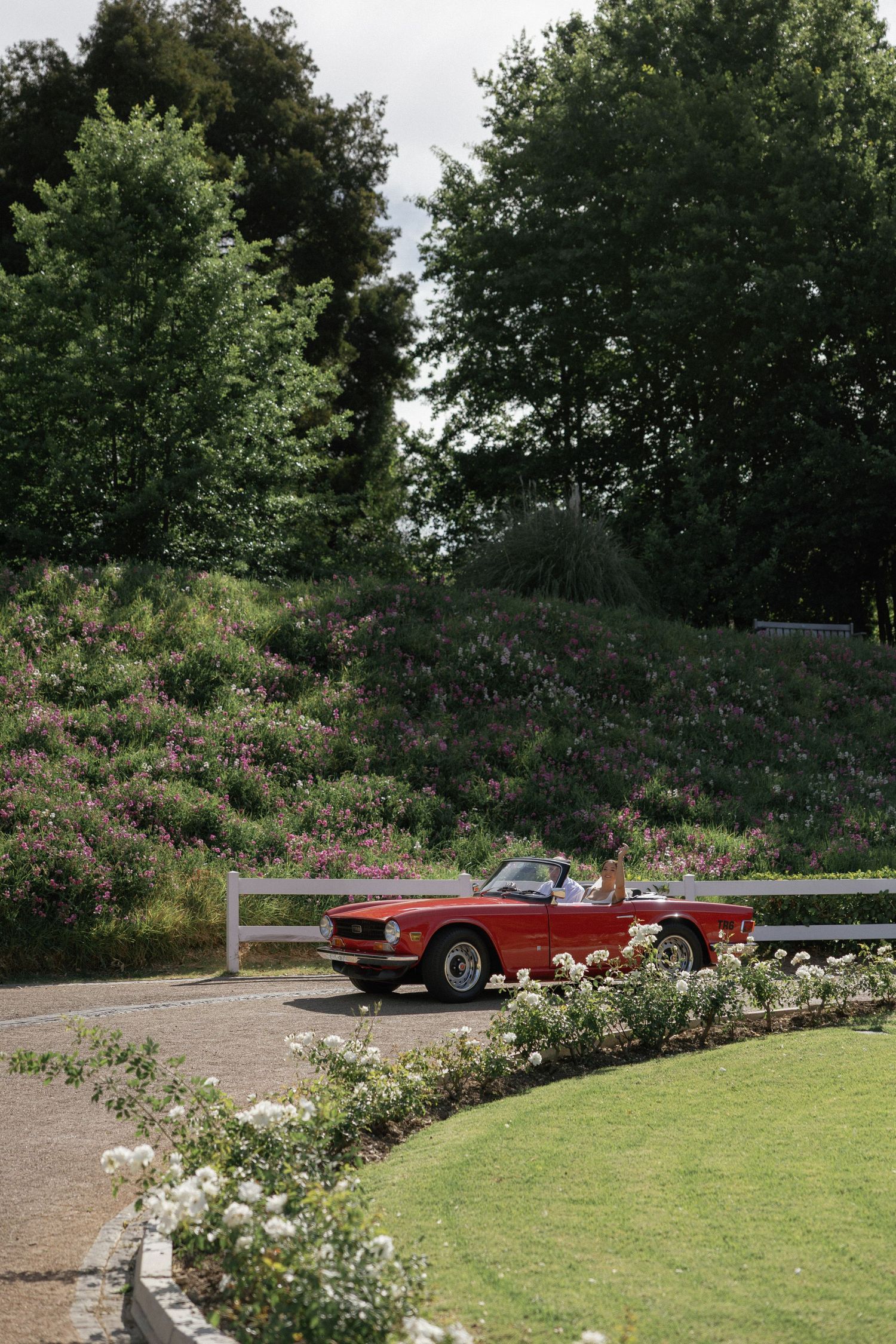 A classic red convertible sports car parked on a curved driveway surrounded by lush gardens and tall green trees.