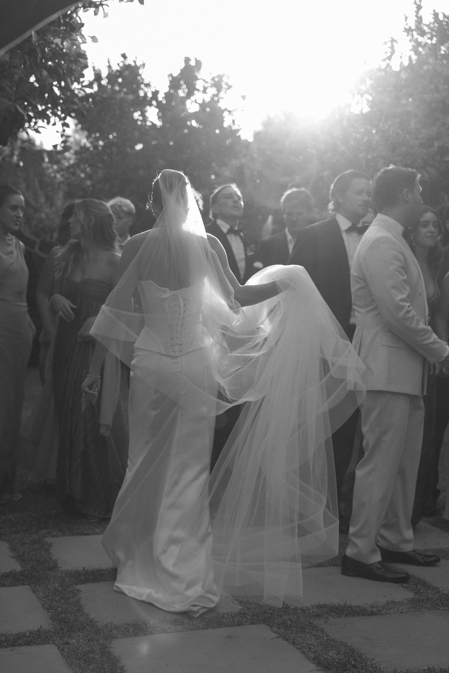 Dramatic black and white photo of bride in corset wedding gown with flowing veil in sunlit garden.