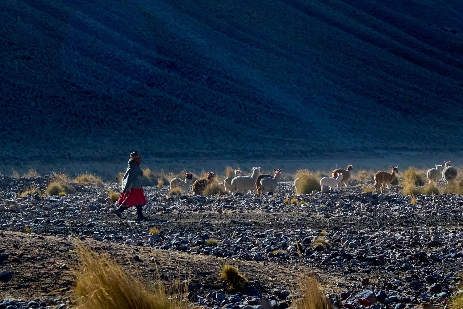 A memento of Peru for your wall: fine art photographs.