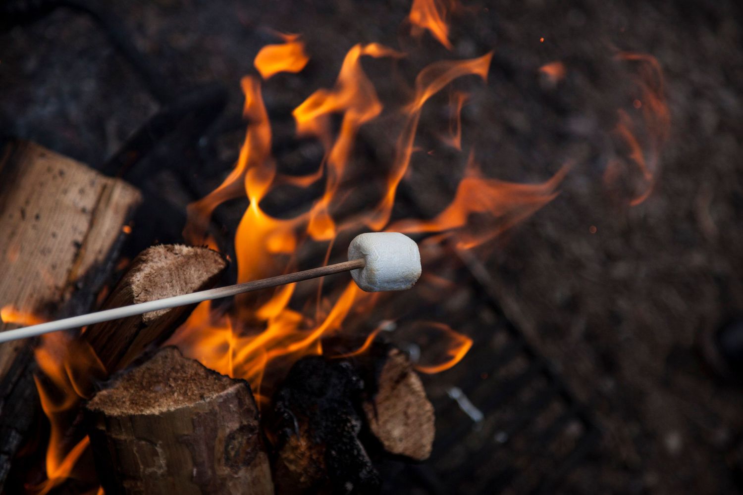 A marshmallow roasting on a stick over a campfire with burning logs and bright orange flames.