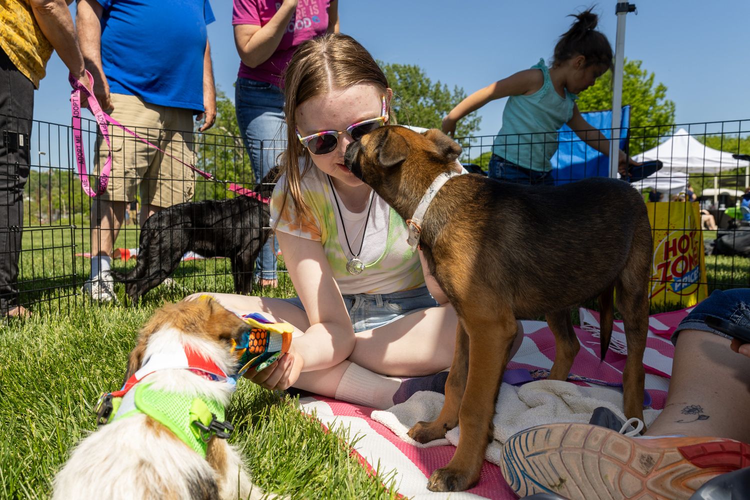 Young woman sitting on grass interacting with friendly dogs at an outdoor pet adoption event.