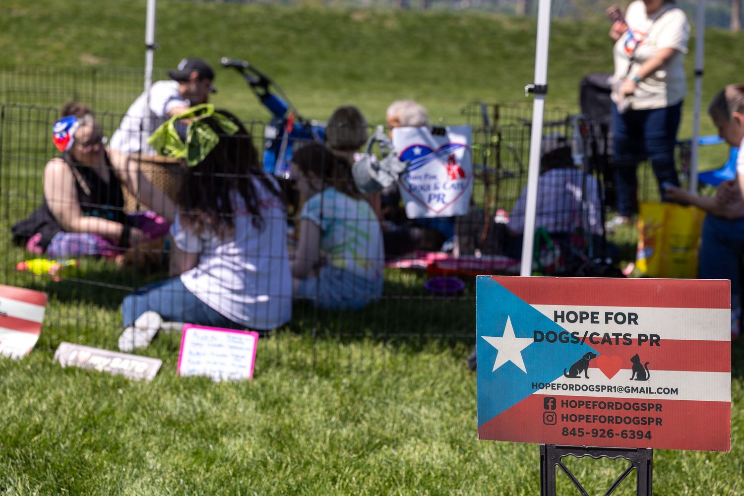 Hope for Dogs and Cats PR sign at outdoor Puerto Rico animal rescue fundraiser event with volunteers on grass.