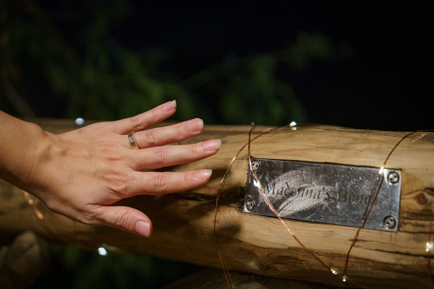 A hand resting on a wooden log with a decorative metal plaque and fairy lights at night.