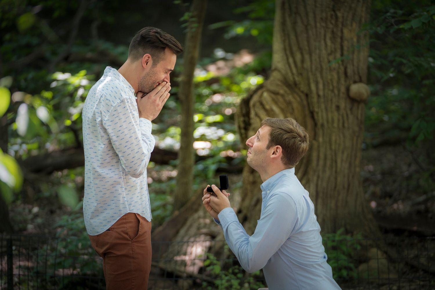 Two men in a forest, one kneeling proposing with a ring box while the other covers his mouth in surprise.