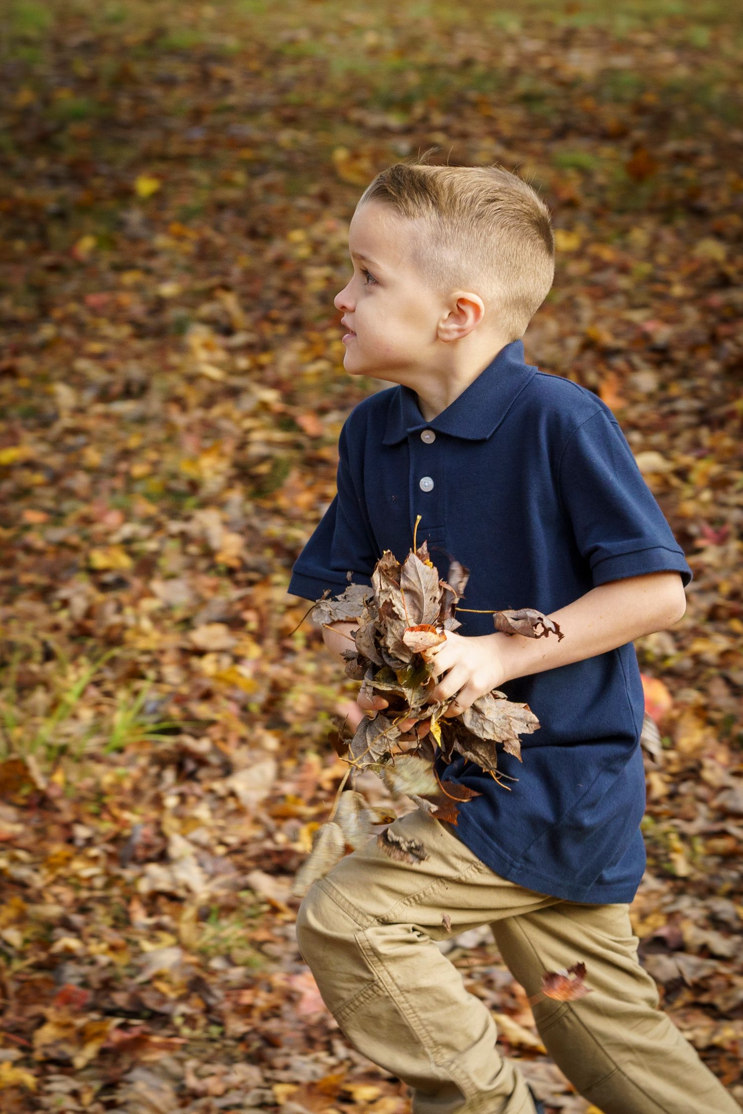 Boy in navy polo shirt collecting fallen autumn leaves outdoors in a colorful fall park setting.