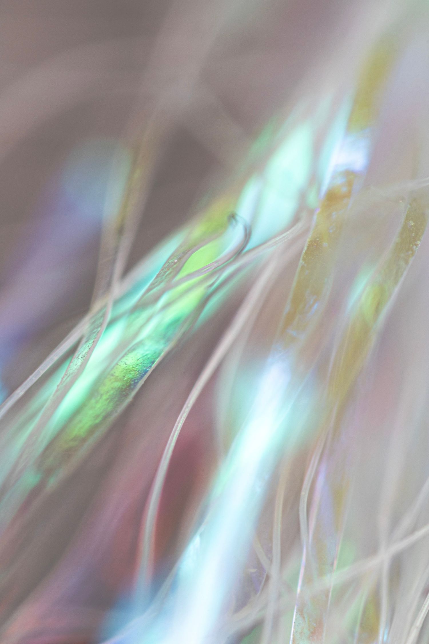 Macro photography of an artificial fly