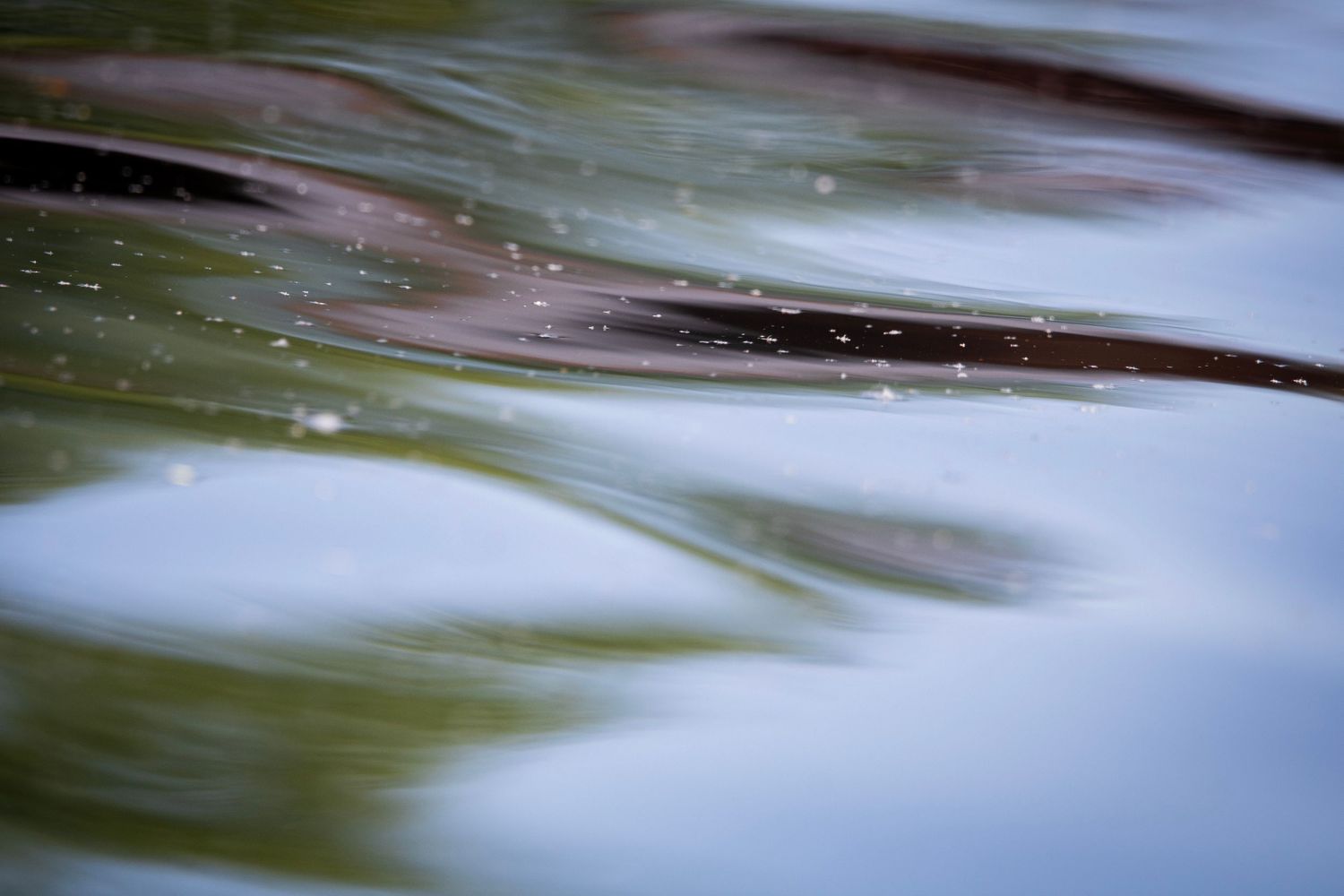 Water reflection