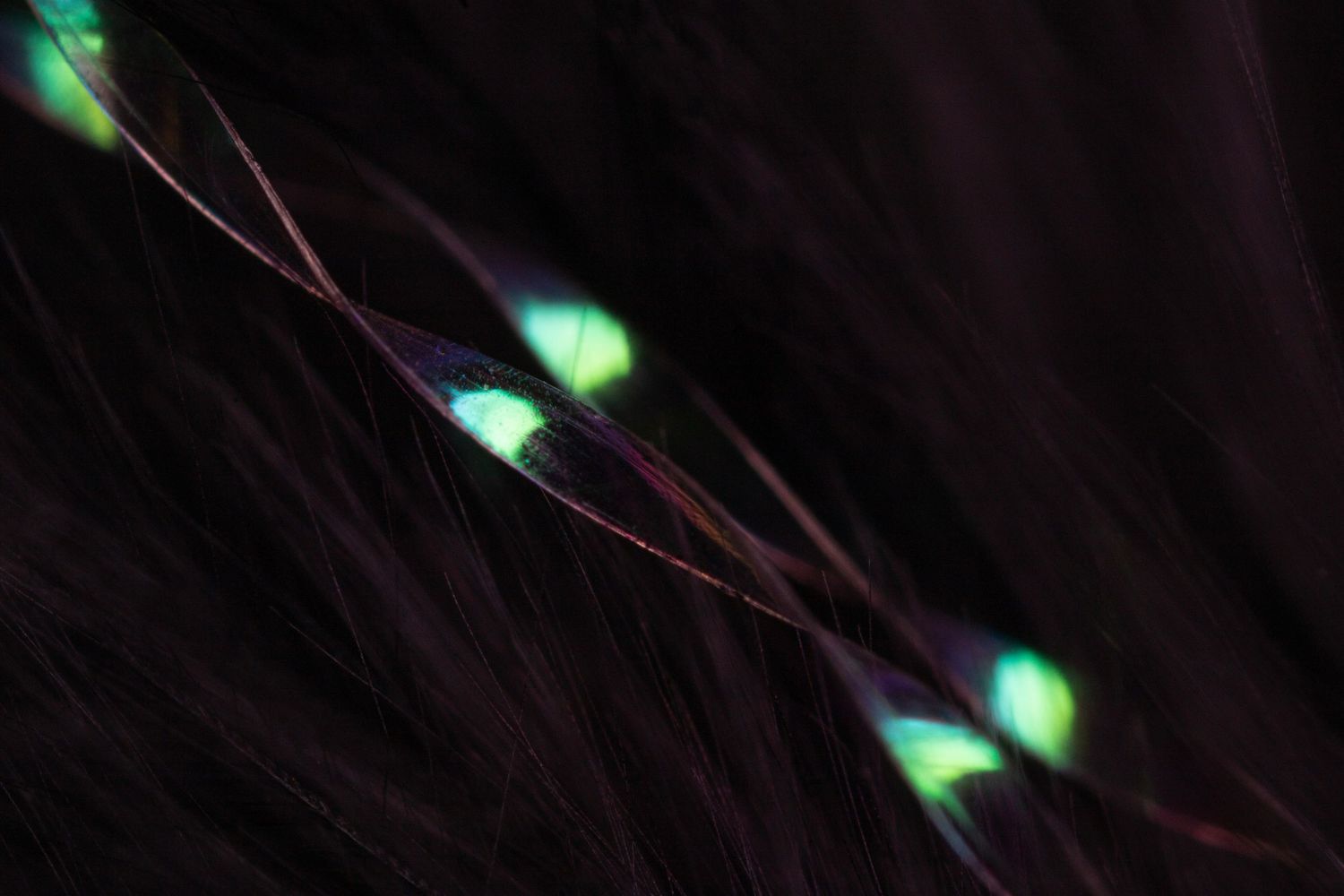 Macro photography of an artificial fly