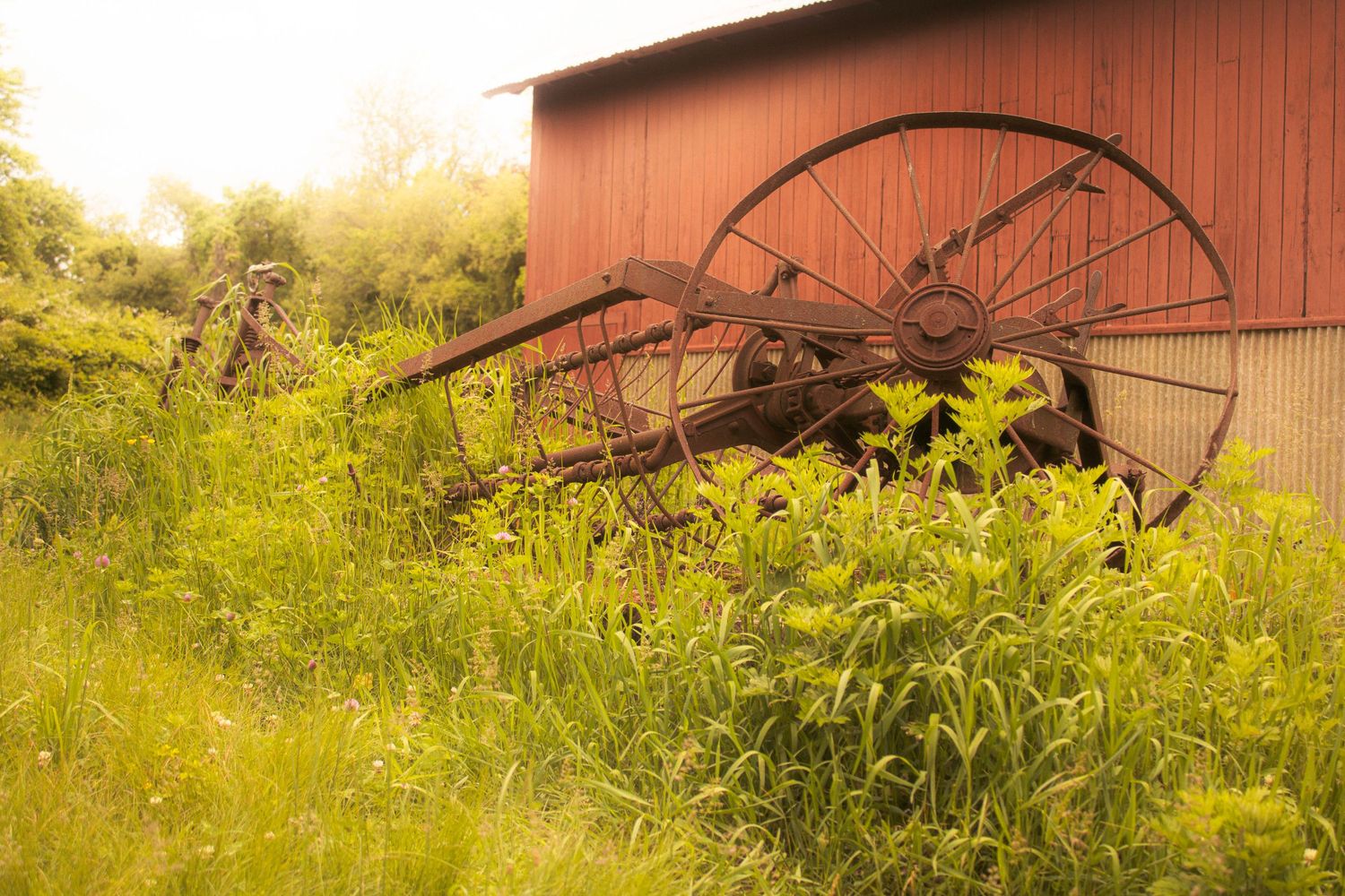 Old rusted farm machinery
