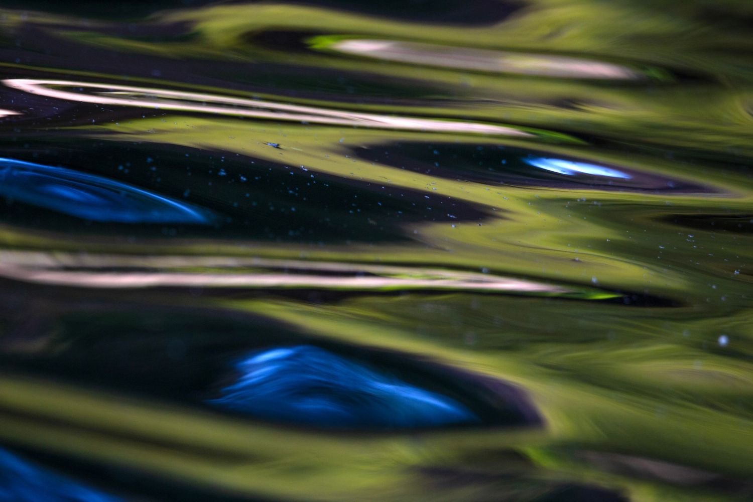 Water reflection