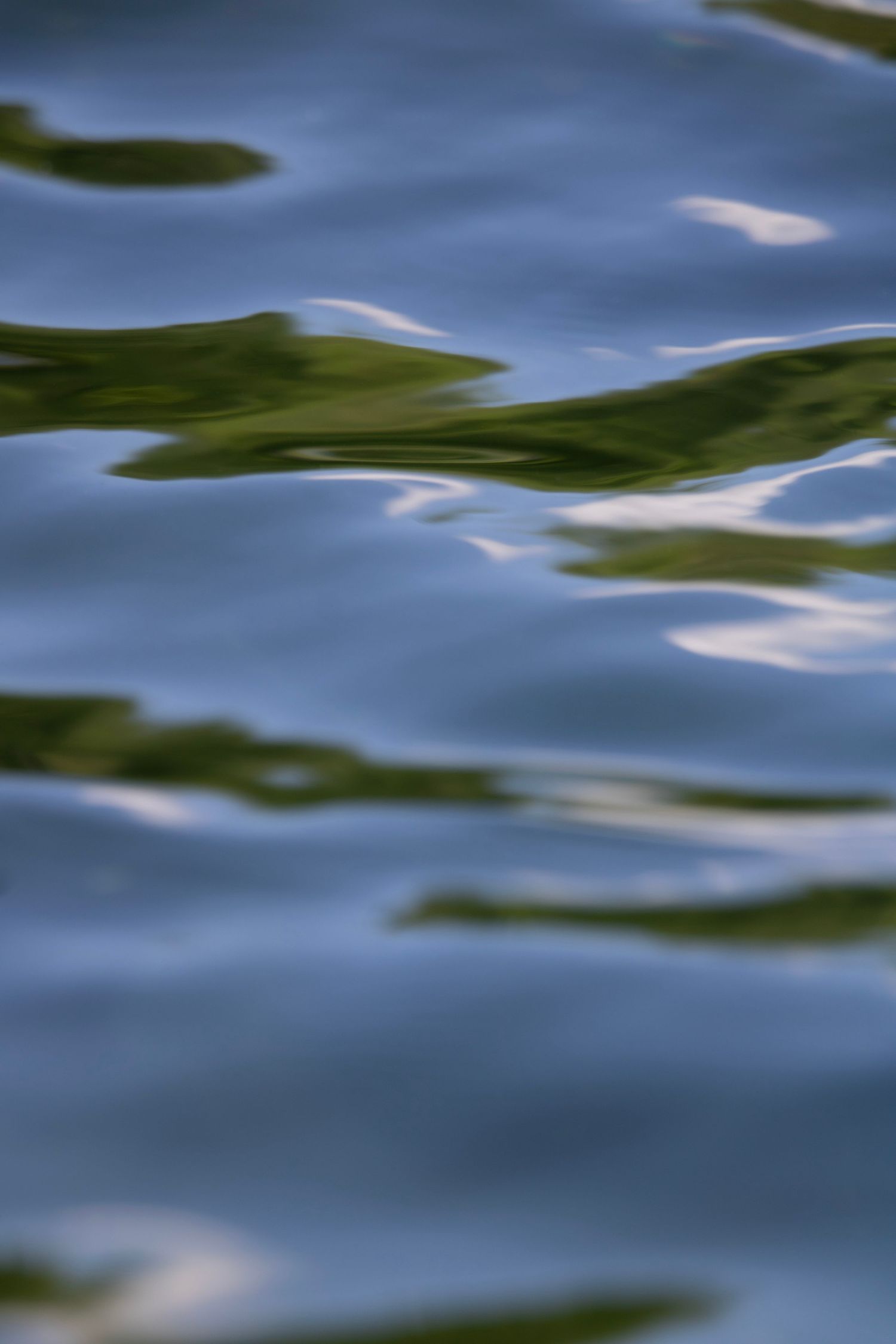 Water reflection