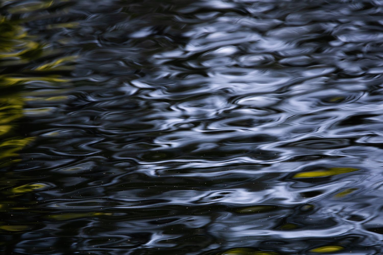 Water reflection