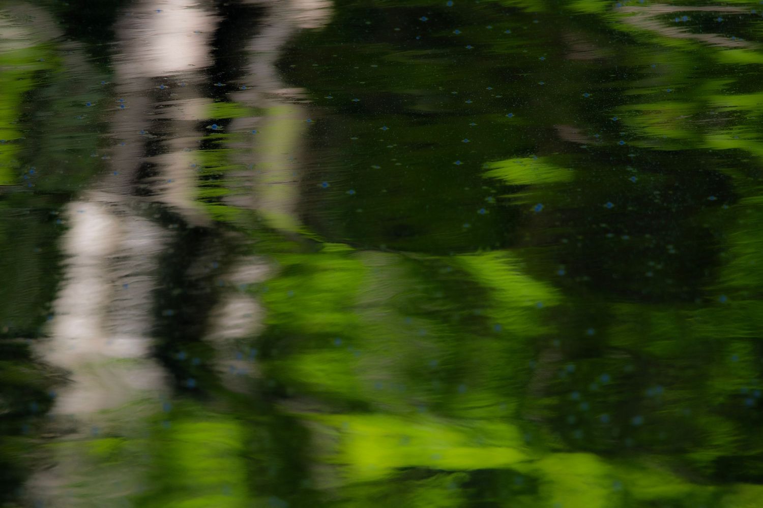 Water reflection