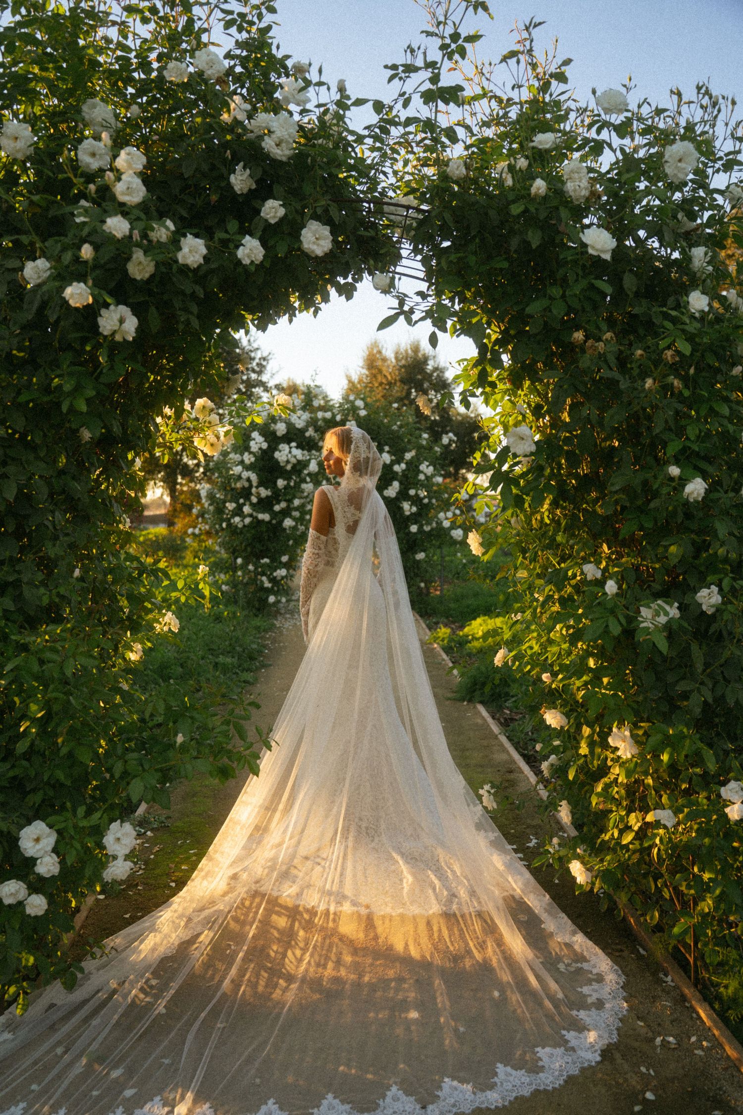 Bride in elegant lace gown with long veil stands under white rose arch in lush garden at golden hour.