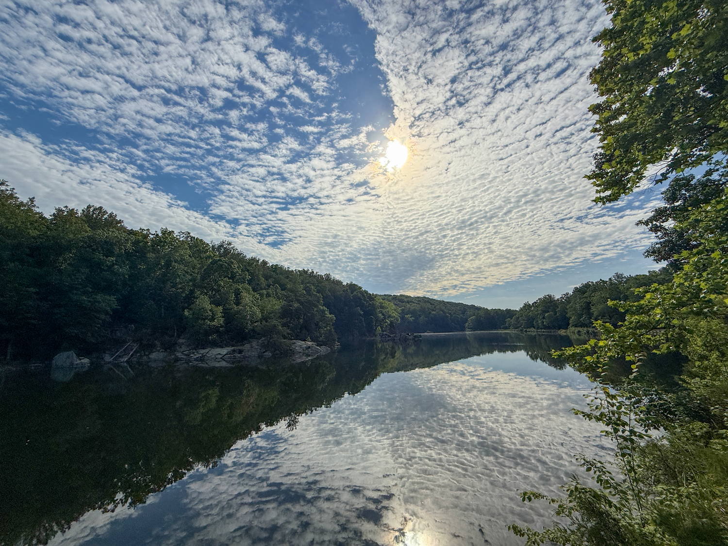 Serene lake reflecting blue sky with scattered clouds and sun, surrounded by lush green forest trees on a calm day.