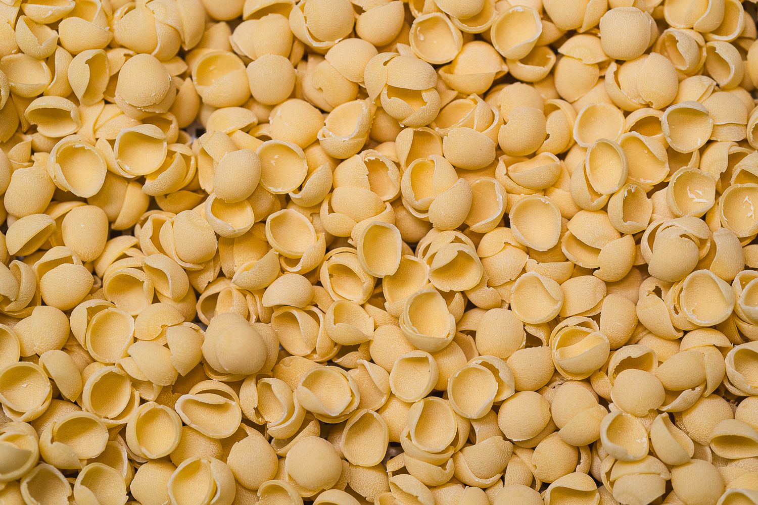 Large pile of freshly made orecchiette pasta shells arranged on a flat surface.