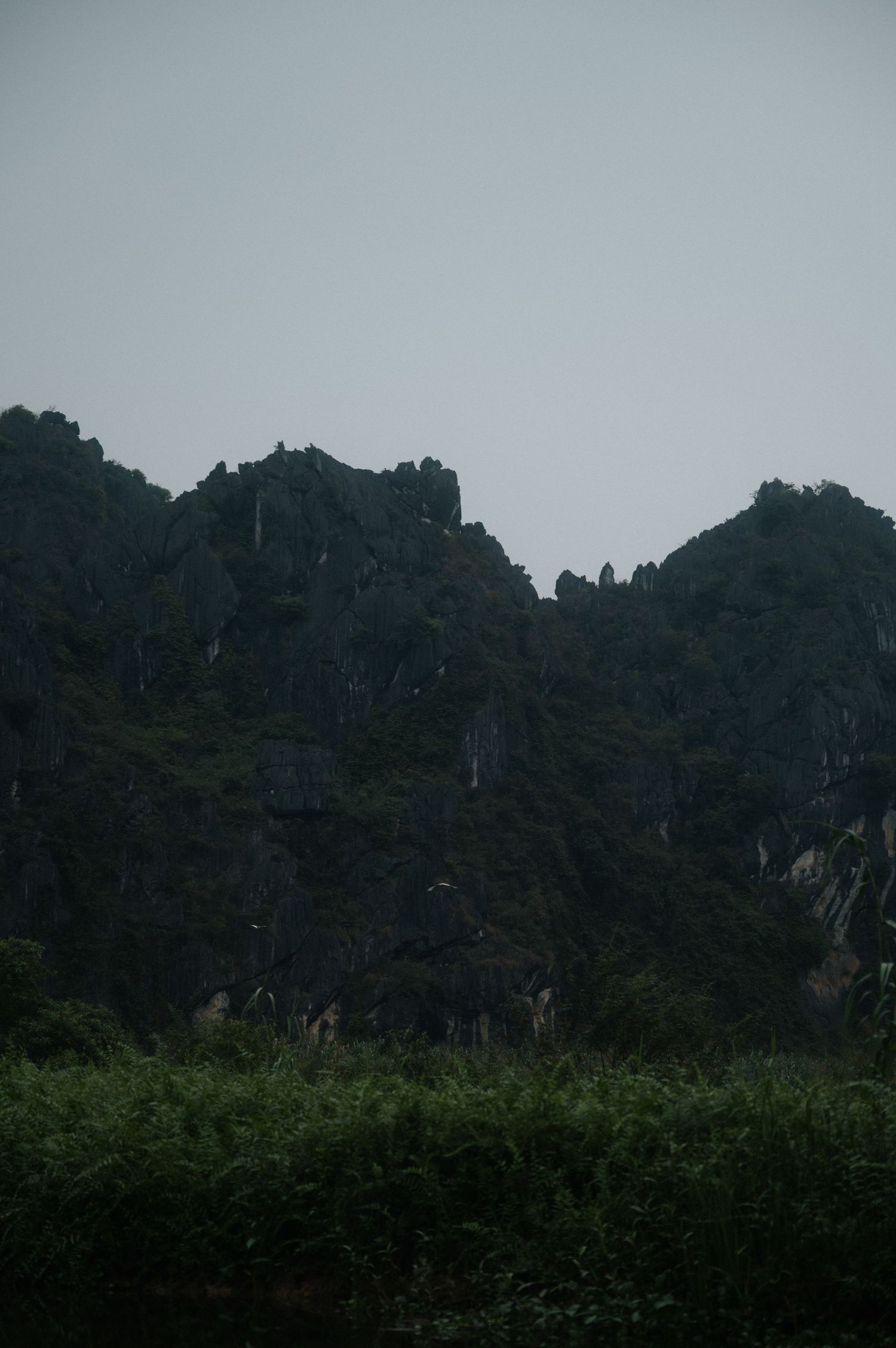 Dark jagged limestone karst mountains rise dramatically against a gray sky, with lush green vegetation in the foreground.