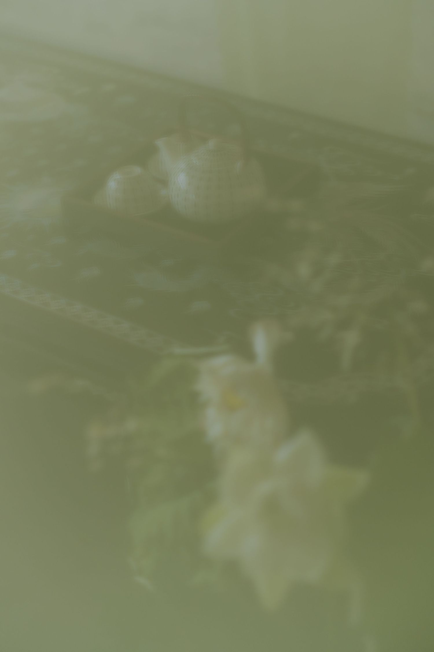 Blurry close-up of white fluffy mold colonies growing on a green agar plate in a laboratory setting.