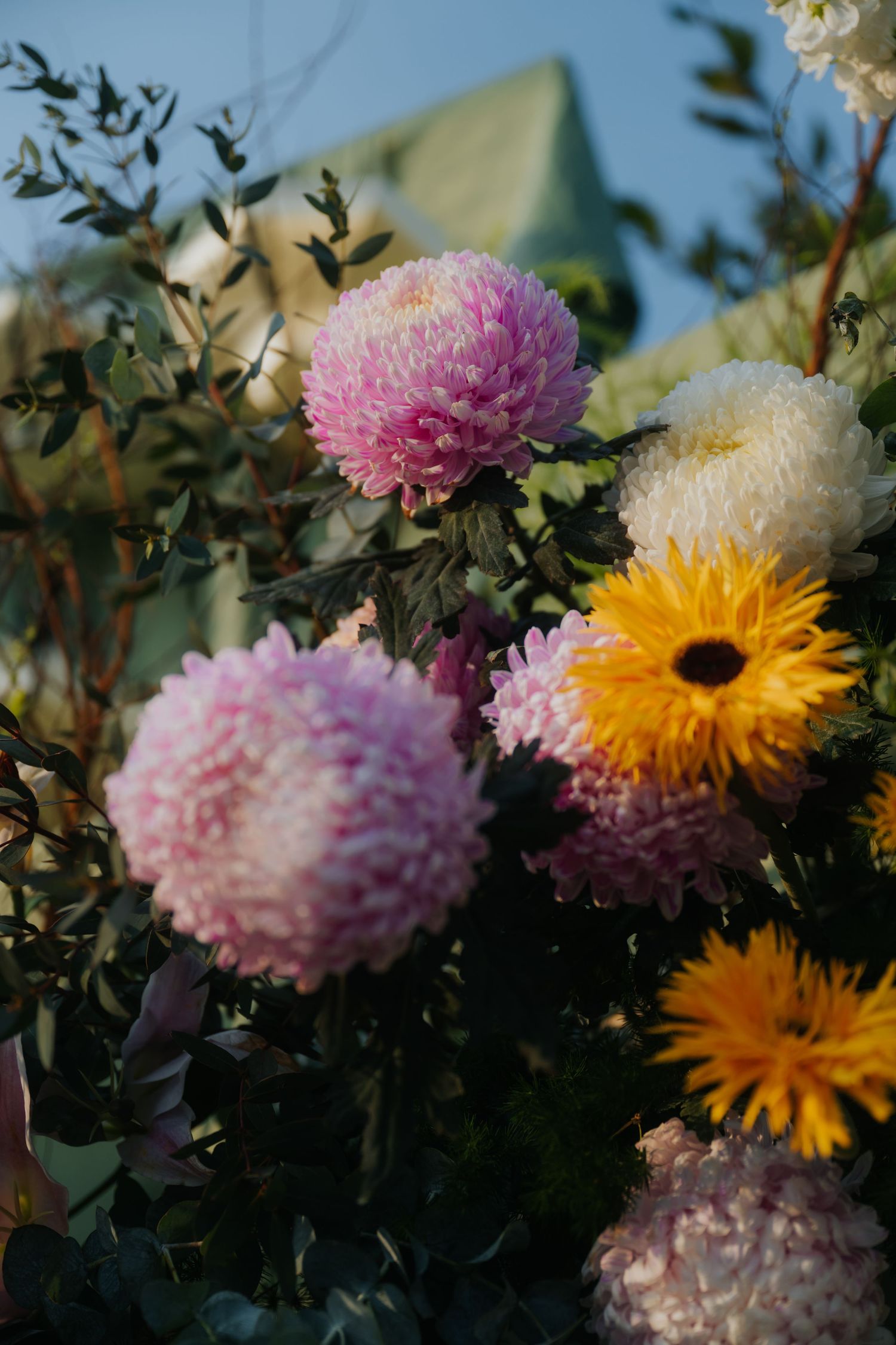 Colorful bouquet of pink chrysanthemums, white pompons, and yellow gerbera daisies with lush green foliage.
