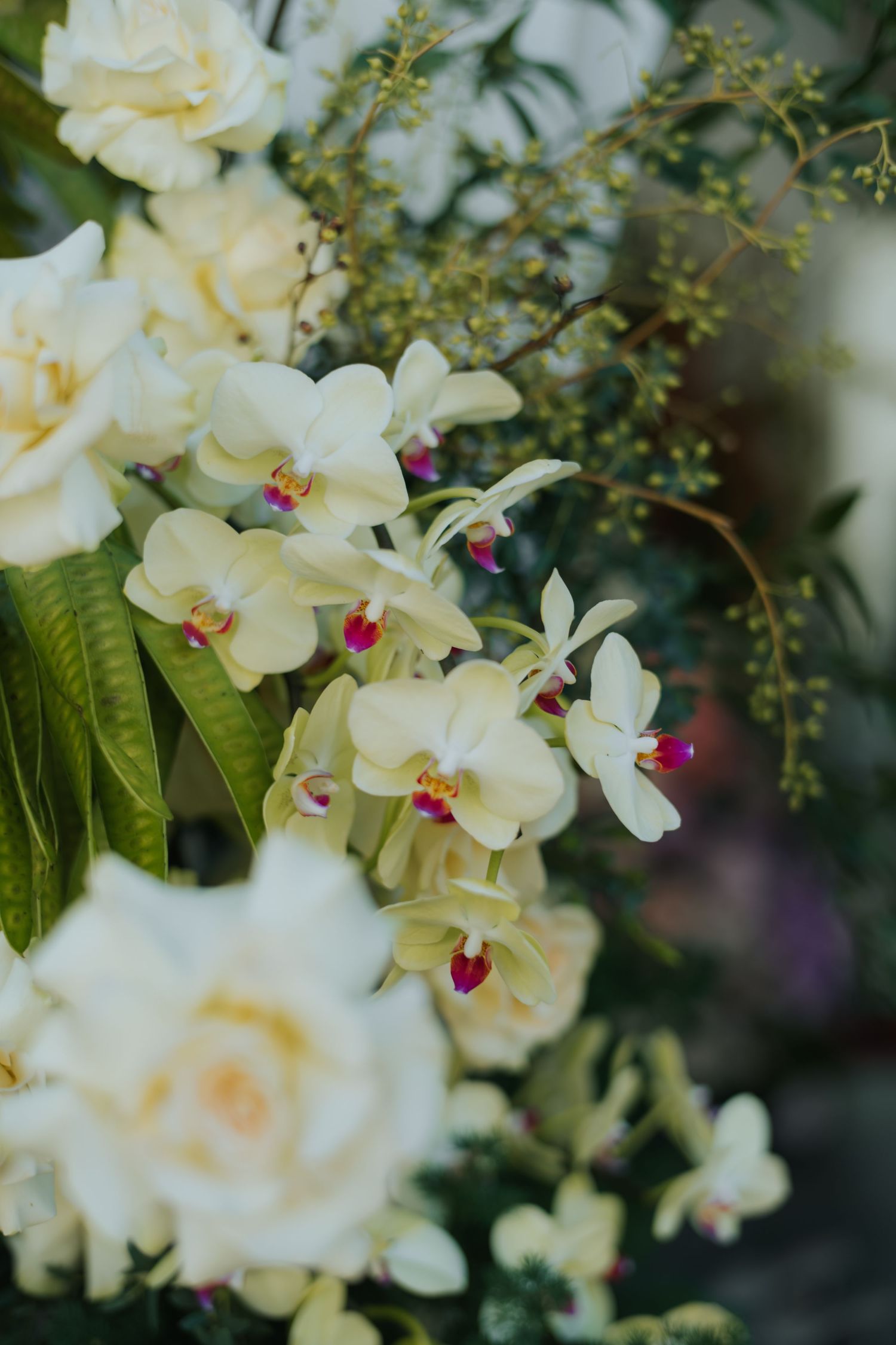 Elegant white orchids and cream roses arrangement with lush green foliage, perfect for weddings or special events.