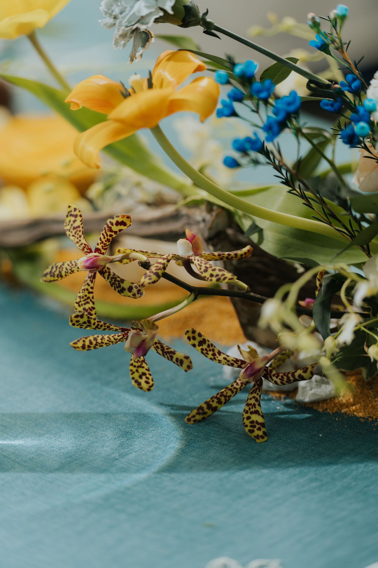 Close-up of a vibrant floral arrangement featuring spotted orchids, yellow calla lilies, and blue flowers on a teal surface.
